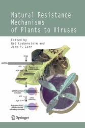 Natural Resistance Mechanisms of Plants to Viruses