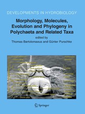 Morphology, Molecules, Evolution and Phylogeny in Polychaeta and Related Taxa