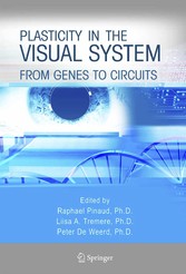 Plasticity in the Visual System