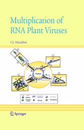 Multiplication of RNA Plant Viruses