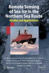 Remote Sensing of Sea Ice in the Northern Sea Route