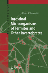 Intestinal Microorganisms of Termites and Other Invertebrates