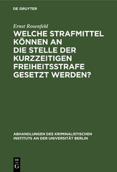 Welche Strafmittel können an die Stelle der kurzzeitigen Freiheitsstrafe gesetzt werden?