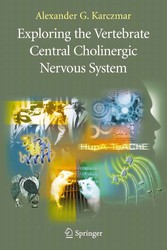 Exploring the Vertebrate Central Cholinergic Nervous System