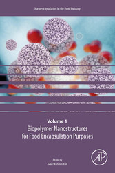 Biopolymer Nanostructures for Food Encapsulation Purposes