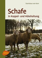 Schafe in Koppel- und Hütehaltung