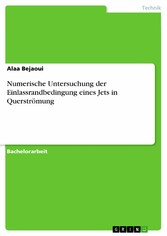 Numerische Untersuchung der Einlassrandbedingung eines Jets in Querströmung