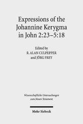 Expressions of the Johannine Kerygma in John 2:23-5:18