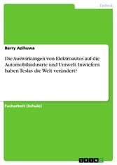 Die Auswirkungen von Elektroautos auf die Automobilindustrie und Umwelt. Inwiefern haben Teslas die Welt verändert?