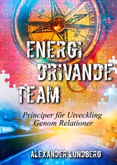 Energidrivande Team