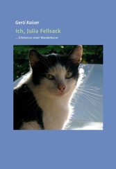 Ich, Julia Fellsack