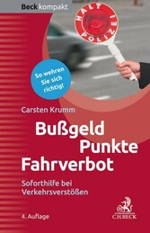 Bußgeld, Punkte, Fahrverbot