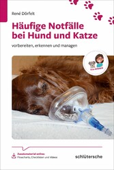 Häufige Notfälle bei Hund und Katze