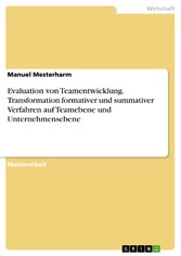 Evaluation von Teamentwicklung. Transformation formativer und summativer Verfahren auf Teamebene und Unternehmensebene