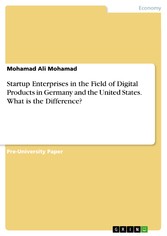 Startup Enterprises in the Field of Digital Products in Germany and the United States. What is the Difference?