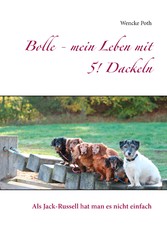 Bolle - mein Leben mit 5! Dackeln