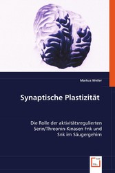 Synaptische Plastizität