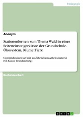 Stationenlernen zum Thema Wald in einer Seiteneinsteigerklasse der Grundschule. Ökosystem, Bäume, Tiere