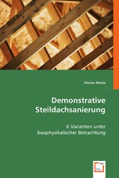 Demonstrative Steildachsanierung