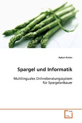 Spargel und Informatik