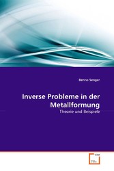 Inverse Probleme in der Metallformung