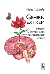 Gehirn extrem