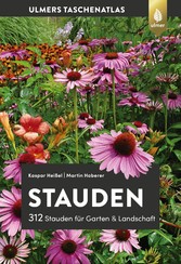 Stauden