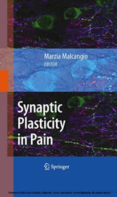 Synaptic Plasticity in Pain