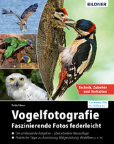 Vogelfotografie: Faszinierende Fotos federleicht