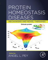 Protein Homeostasis Diseases