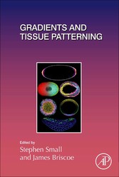 Gradients and Tissue Patterning