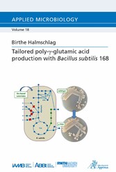 Tailored poly-?-glutamic acid production with Bacillus subtilis 168