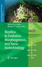 Biosilica in Evolution, Morphogenesis, and Nanobiotechnology