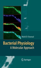 Bacterial Physiology