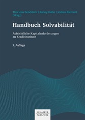 Handbuch Solvabilität