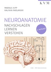 Neuroanatomie