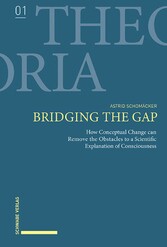 Bridging the Gap