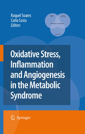 Oxidative Stress, Inflammation and Angiogenesis in the Metabolic Syndrome