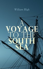 A Voyage to the South Sea