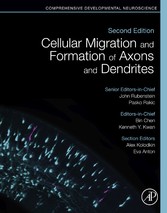 Cellular Migration and Formation of Axons and Dendrites