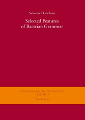 Selected Features of Bactrian Grammar