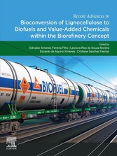 Recent Advances in Bioconversion of Lignocellulose to Biofuels and Value Added Chemicals within the Biorefinery Concept