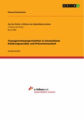 Teenagerschwangerschaften in Deutschland. Erklärungsansätze und Präventionsarbeit