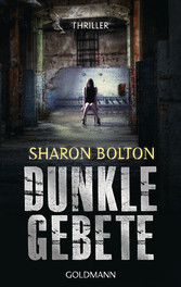 Dunkle Gebete - Lacey Flint 1