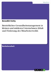 Betriebliches Gesundheitsmanagement in kleinen und mittleren Unternehmen. Erhalt und Förderung des Mitarbeiterwohls