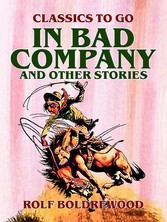 In Bad Company, and other stories