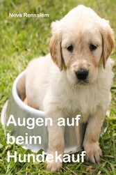 Augen auf beim Hundekauf