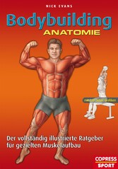 Bodybuilding Anatomie