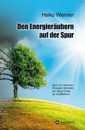 Den  Energieräubern  auf der Spur