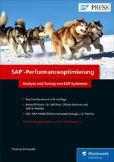 SAP-Performanceoptimierung